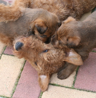 Mama spielt mit